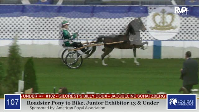 2020 AR - Class 107 Roadster Pony To ...