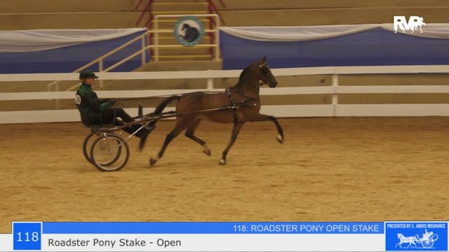 ASF23 - Class 118 -  Roadster Pony St...