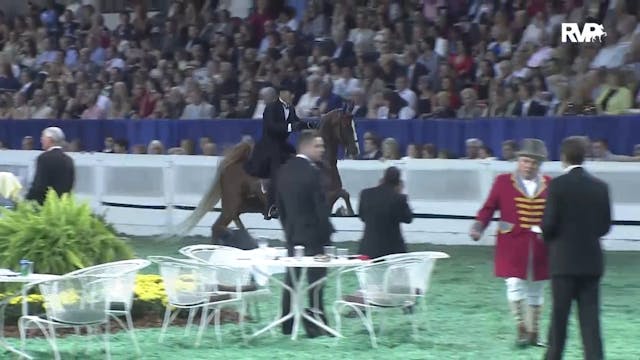 2011 WCHS Class 236 Three Gaited Cham...