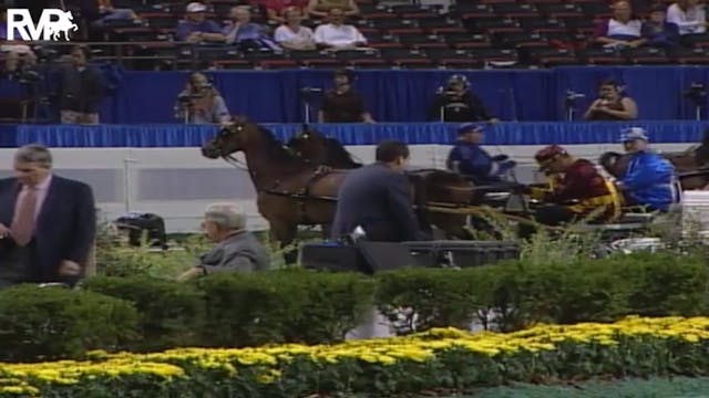 2004 World's Championship Horse Show ...