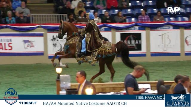 AN25 - Class 1190 - HA-AA Mounted Nat...