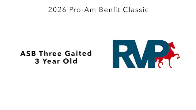 ProAm26 - Class 47 - ASB Three Gaited...