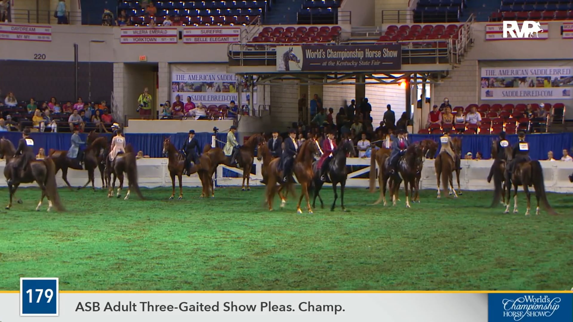 WCHS16 - CH Spread the Word - Championship