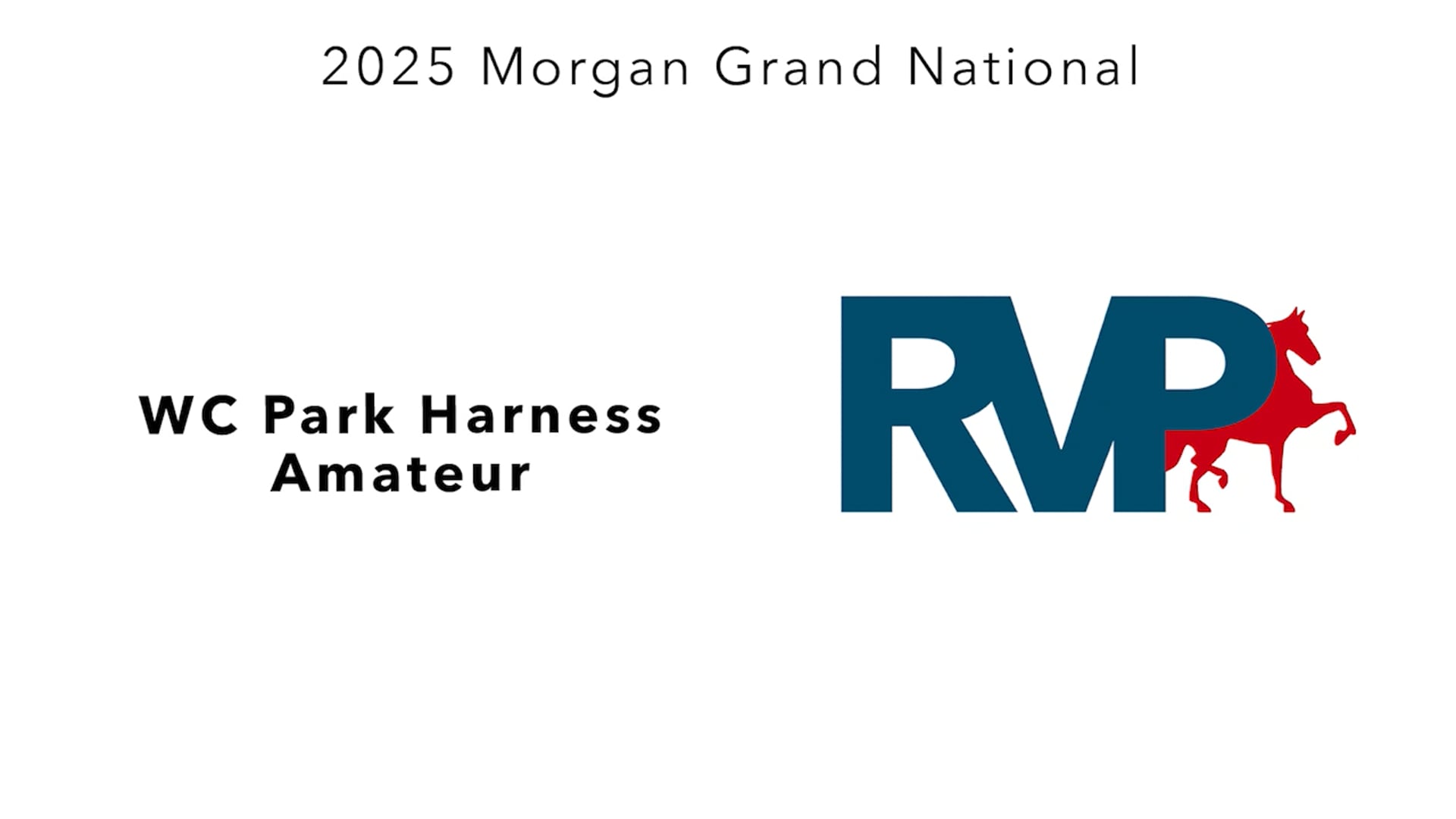 MGN25 - Class 474 - WC Park Harness Amateur