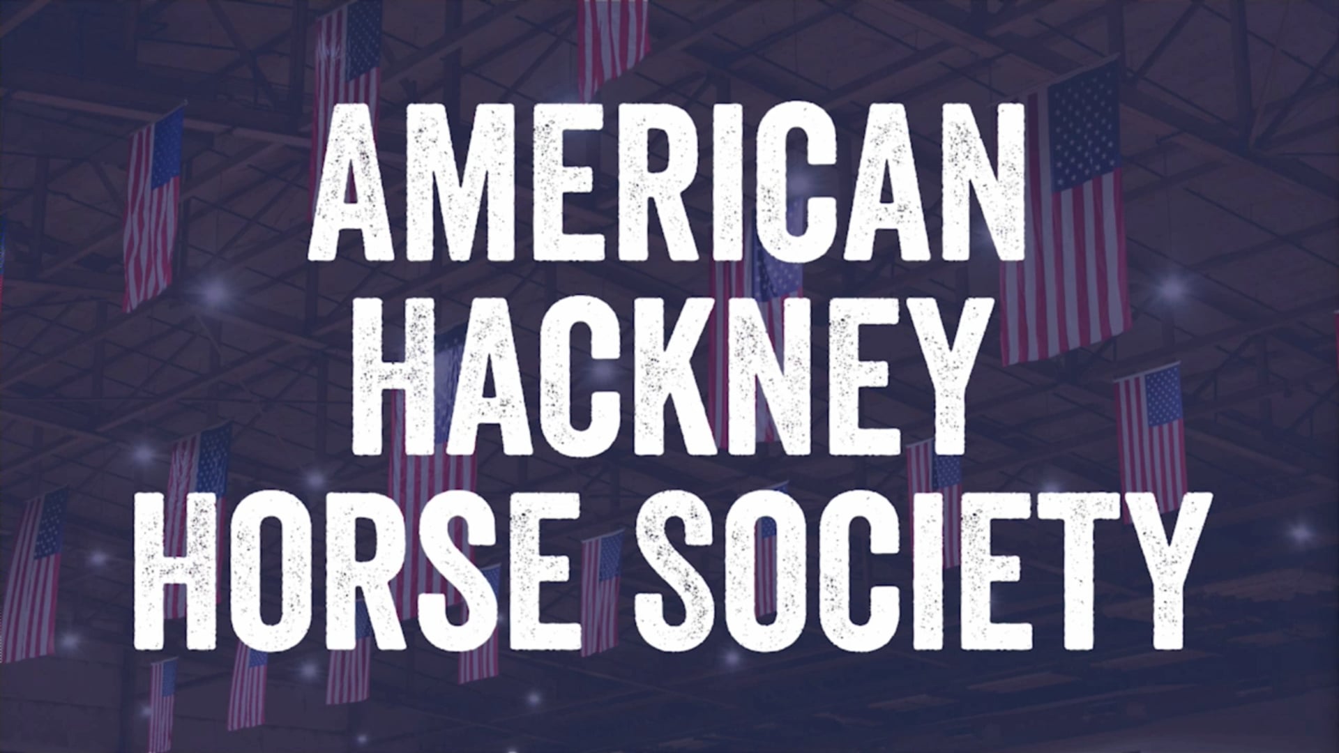 2024 American Royal National Championship - Tuesday Morning 
