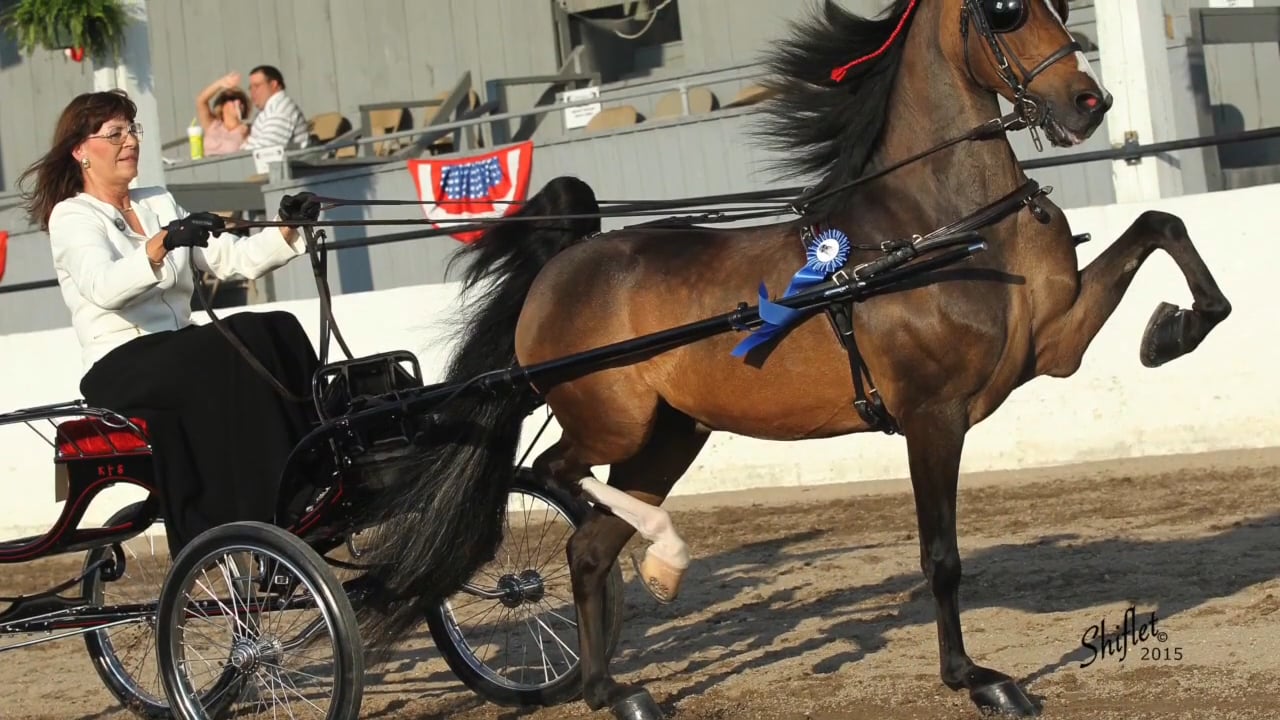 2016 AHHS Bill G Robinson Trainer Of The Year Denessa %26 Randy Harper