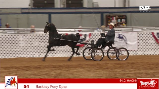 AAC24 - Class 54 - Hackney Pony Open