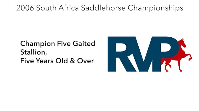 2006 South Africa Saddlehorse Champio...