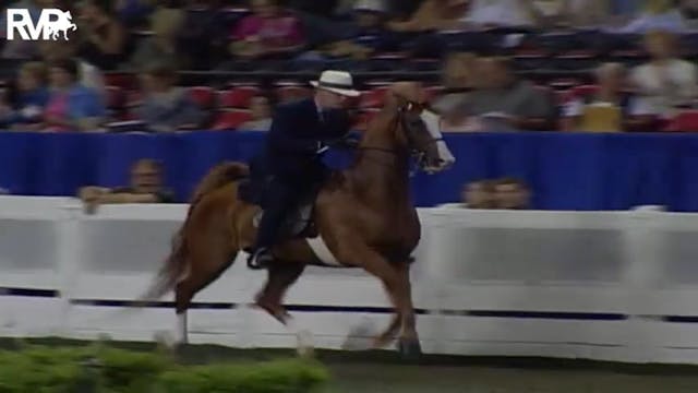 2004 World's Championship Horse Show ...