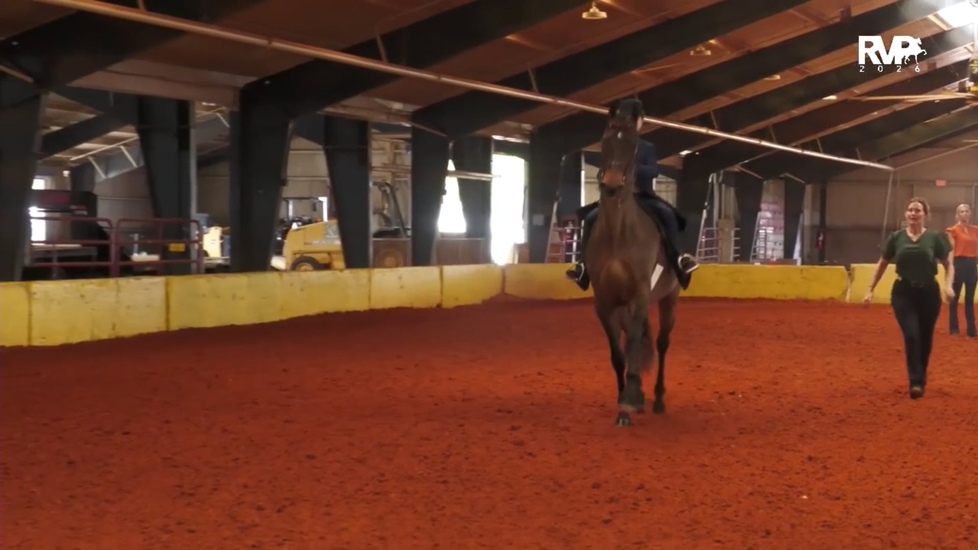 GC26 - Class 122 - Saddle Seat Equitation WT 12 & Under Stake