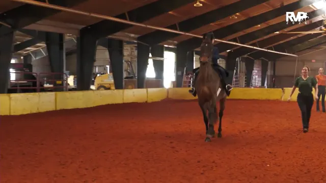 GC26 - Class 122 - Saddle Seat Equita...