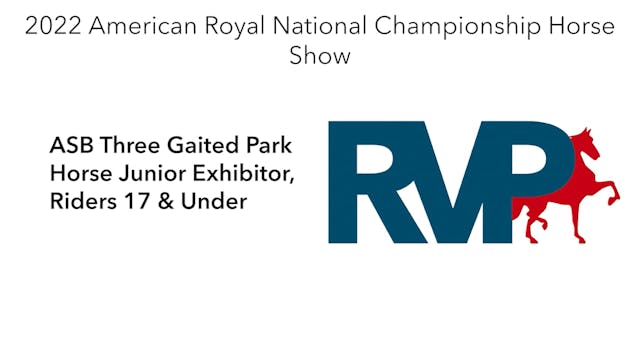 AR22 - Class 99 - ASB Three Gaited Pa...