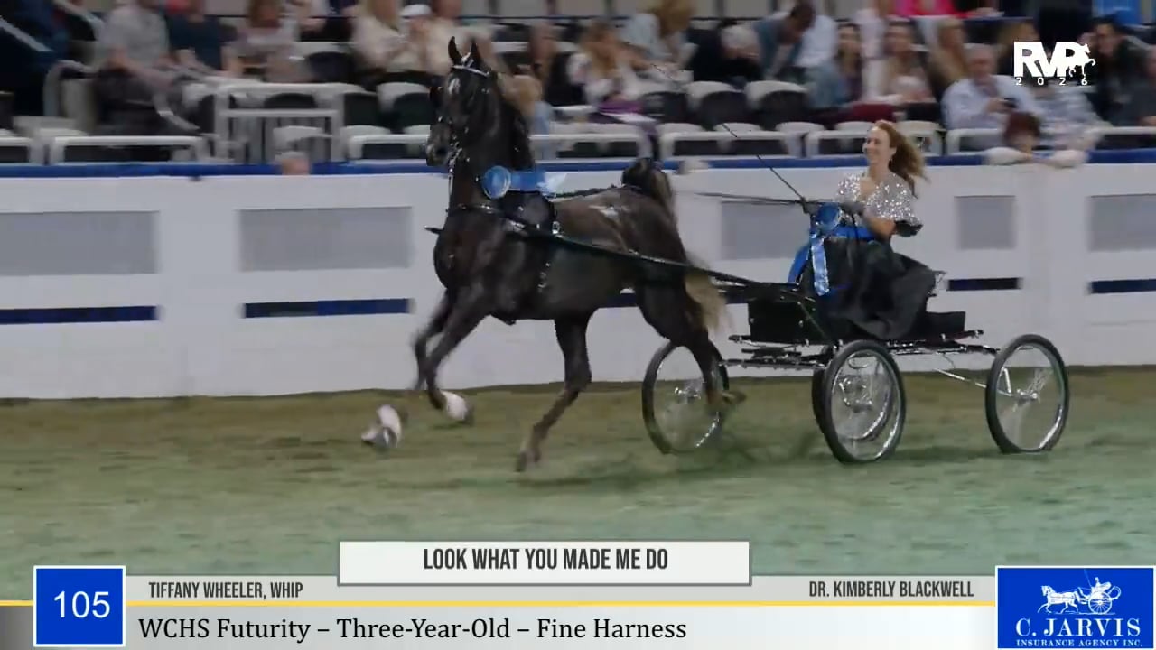 2026 World's Championship Horse Show ...