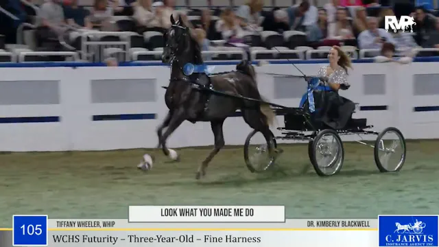 2026 World's Championship Horse Show ...