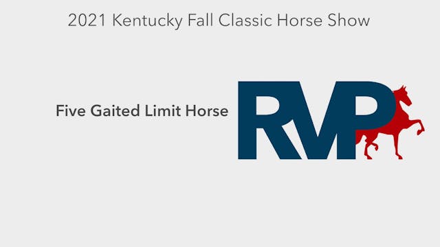 KYFC21 - Class 91 -  Five Gaited Limi...