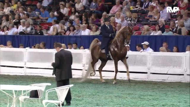 2012 WCHS Class 61 Amateur Gentlemens...