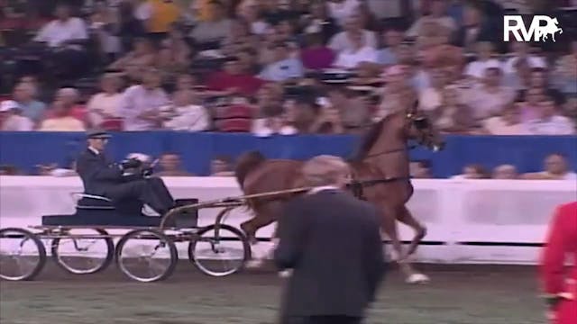 2003 WCHS Class 94 ASHA Futurity Of K...