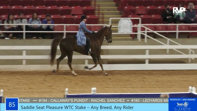 ASW21 - Class 85 - Saddle Seat Pleasu...