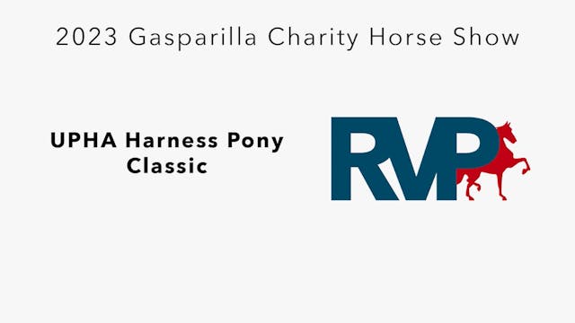 GASP23 - Class 44 - UPHA Harness Pony...