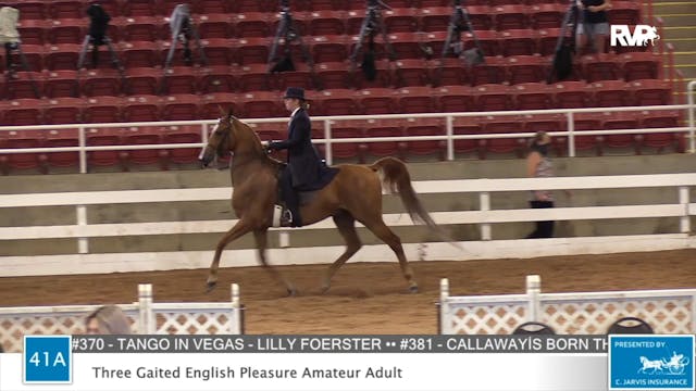 2020 ASF - Class 41A Three Gaited Eng...