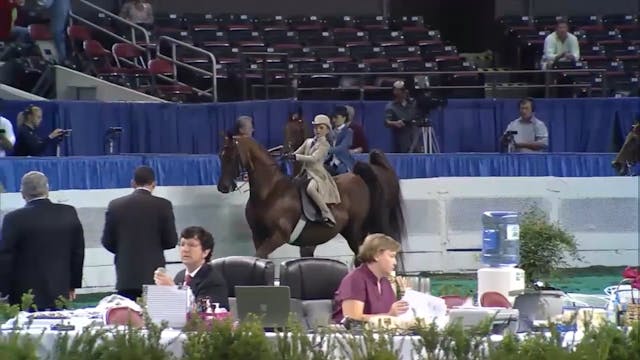 2012 World's Championship Horse Show ...