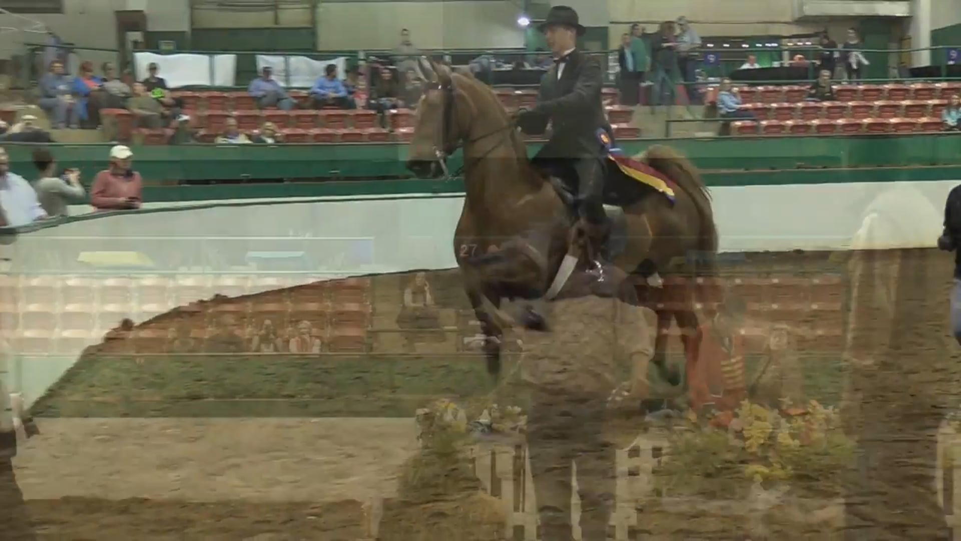 RSP17 - Twice the Dice 