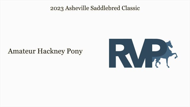 ASC23 - Class 19 - Amateur Hackney Pony