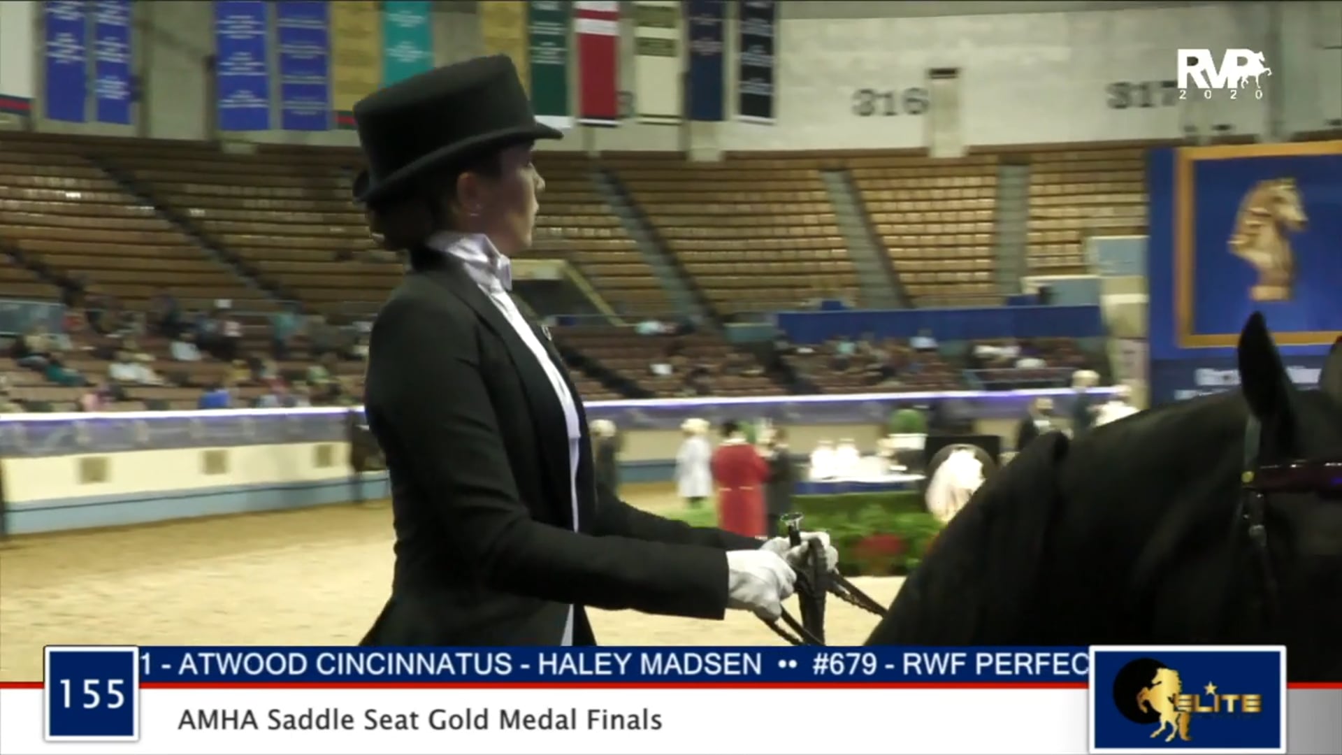 2020 MGN - Class 155 AMHA Saddle Seat Gold Medal Finals
