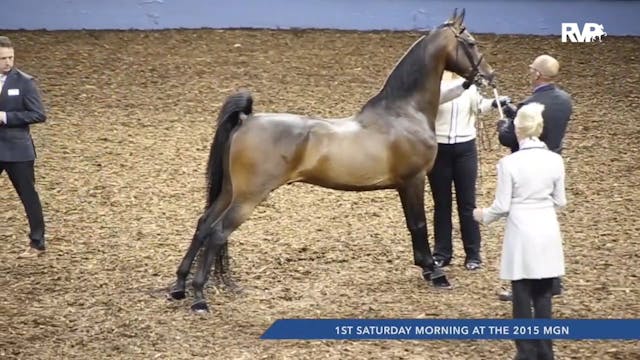 MGN15 - First Saturday Morning Highli...