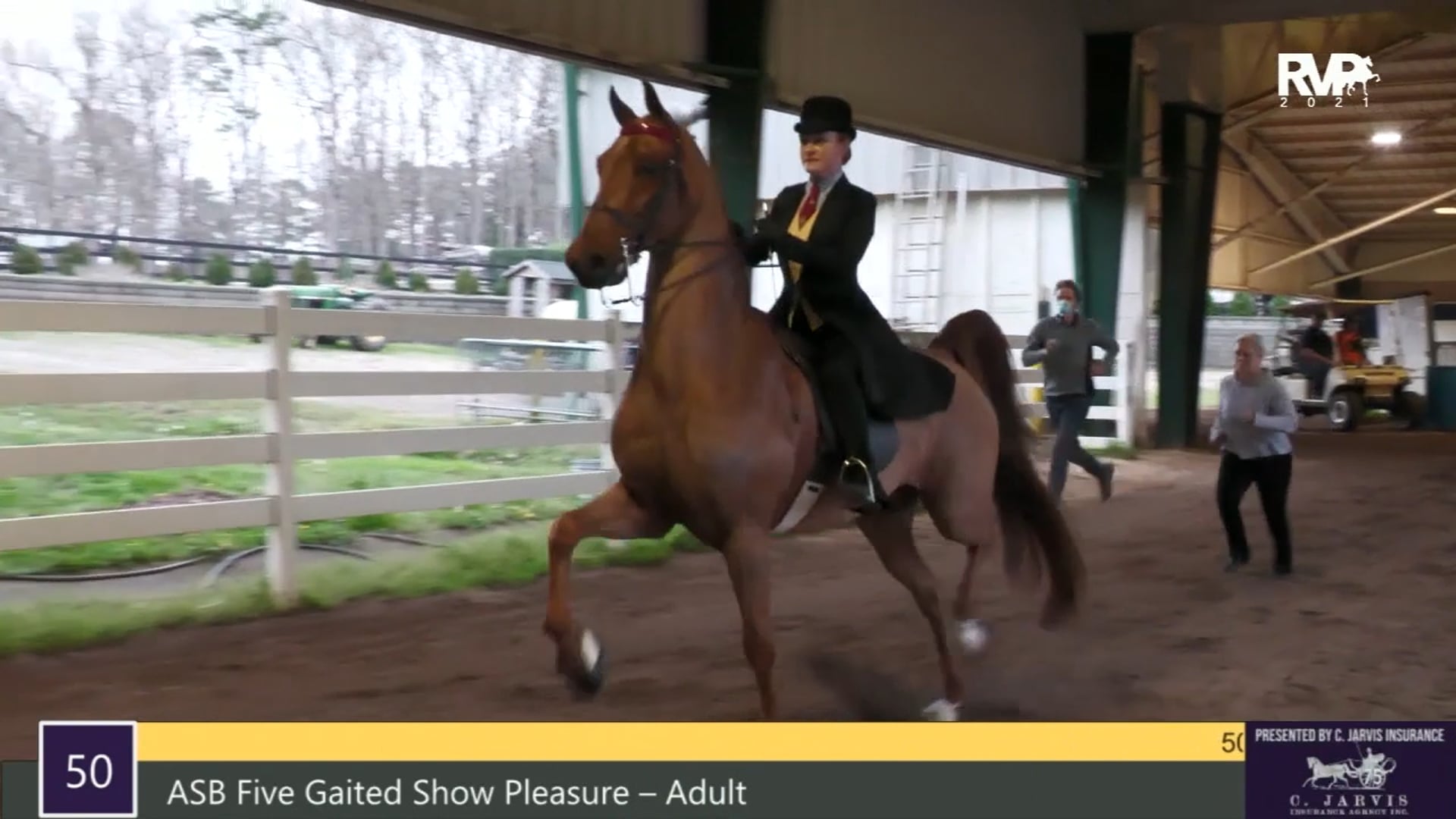 RSP21 - Class 50 - ASB Five Gaited Show Pleasure Adult