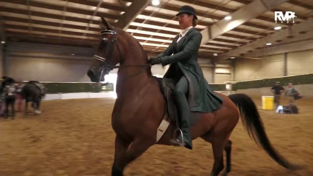 AN25 - Class 2627 - Arabian Country E...