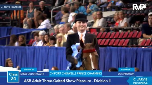 2014 World's Championship Horse Show-...