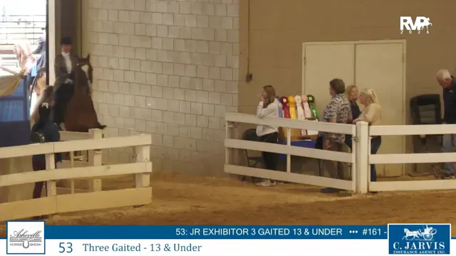 ASC26 - Class 53 - Three Gaited 13 & ...