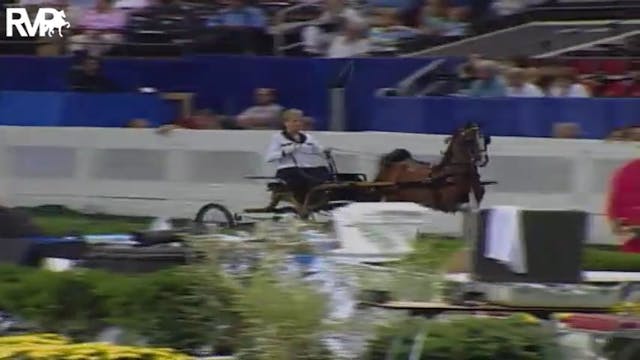 2004 World's Championship Horse Show ...