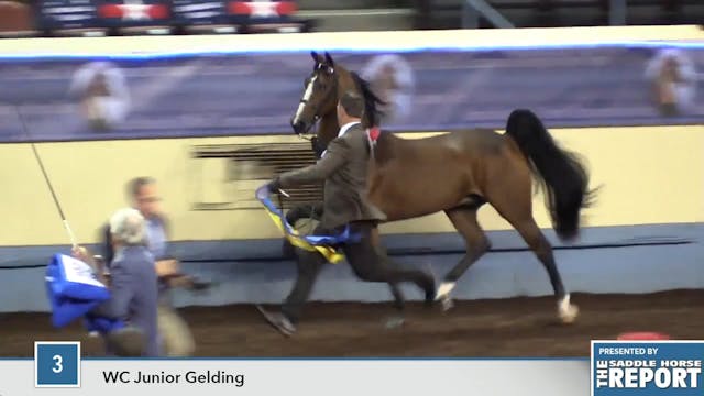 MGN16 - Saralin In Touch - WC Junior ...