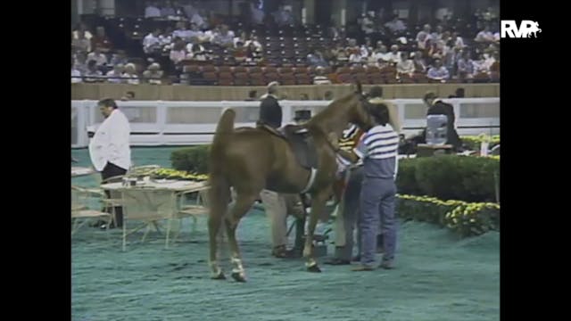 1988 WCHS Class 7 Kentucky County Fai...