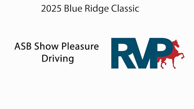 BRC25 - Class 1 - ASB Show Pleasure D...