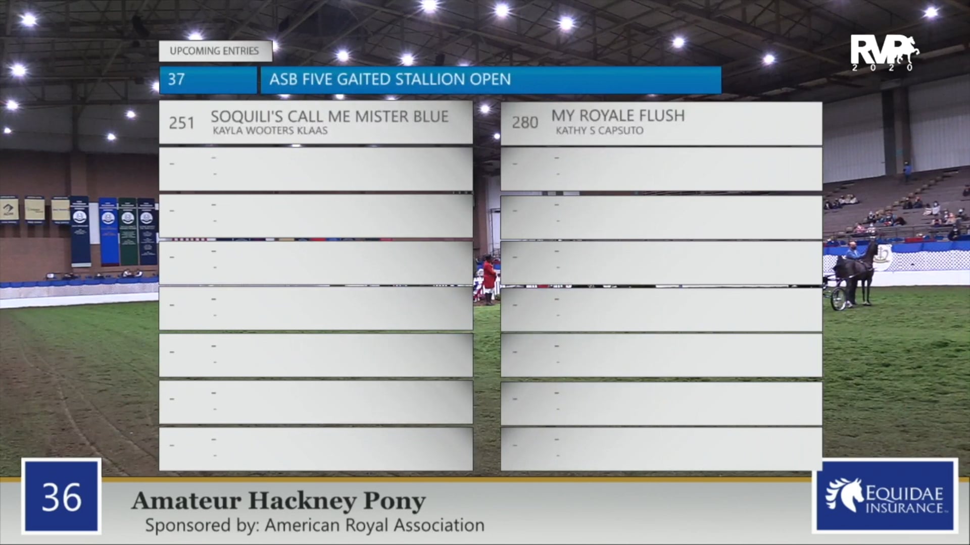 2020 AR - Class 36 Amateur Hackney Pony