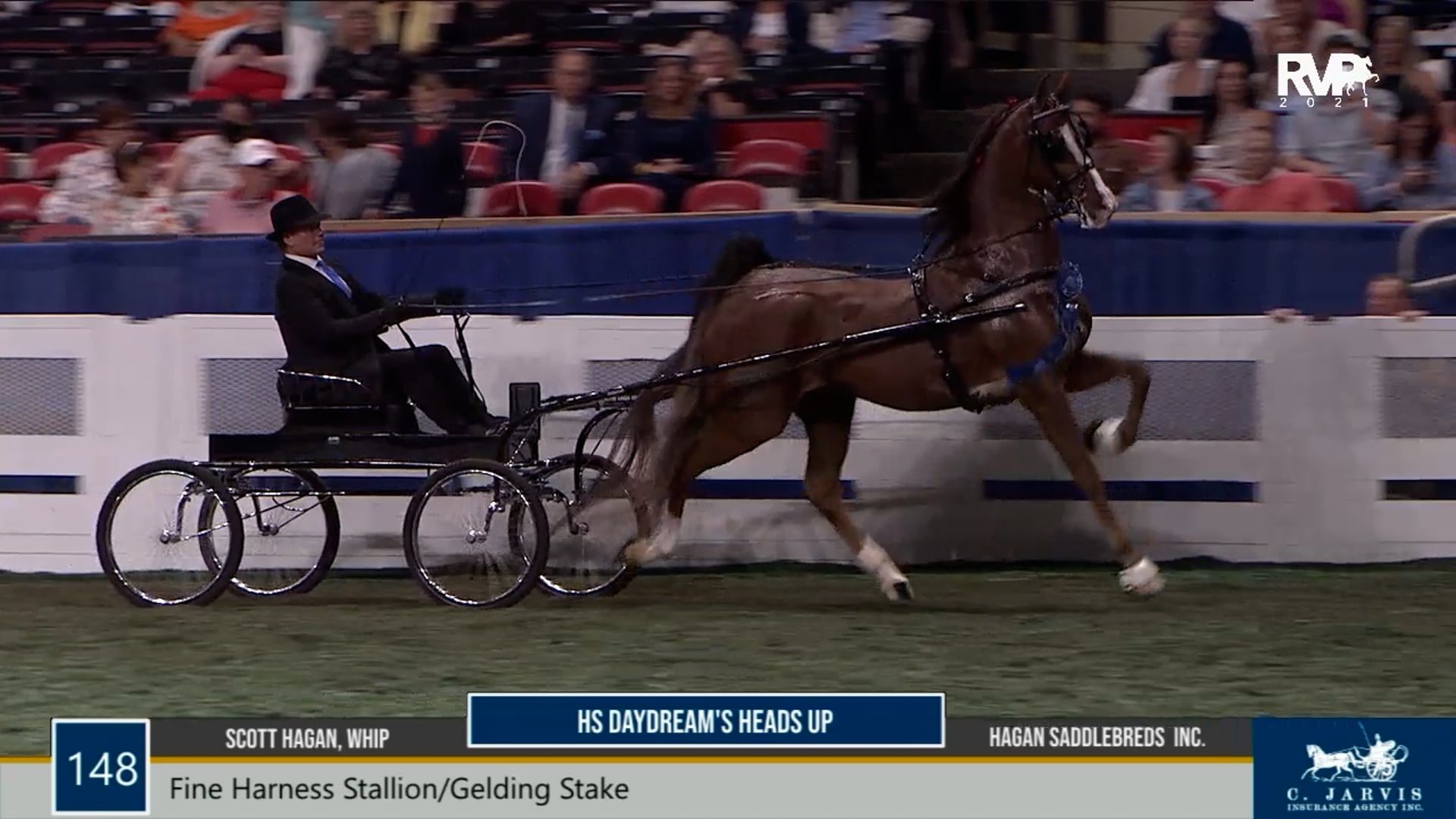 WCHS21 - Class 148 - HS Daydream's Heads Up and Scott Hagan, Whip