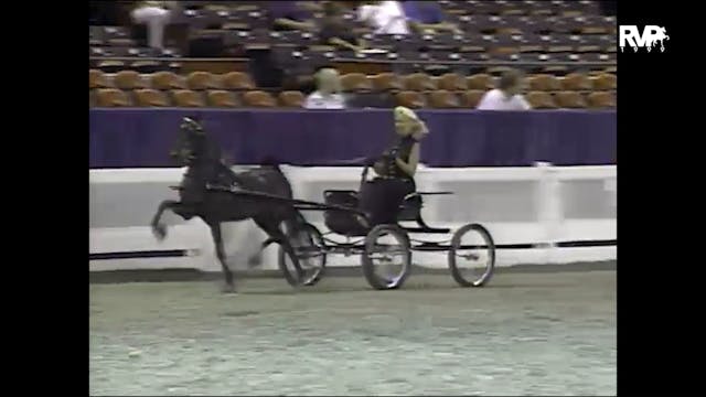 1999 WCHS - Class 118 Harness Pony Ma...