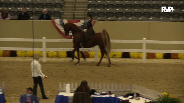 2020 KFC - Class 114 Amateur Five Gai...