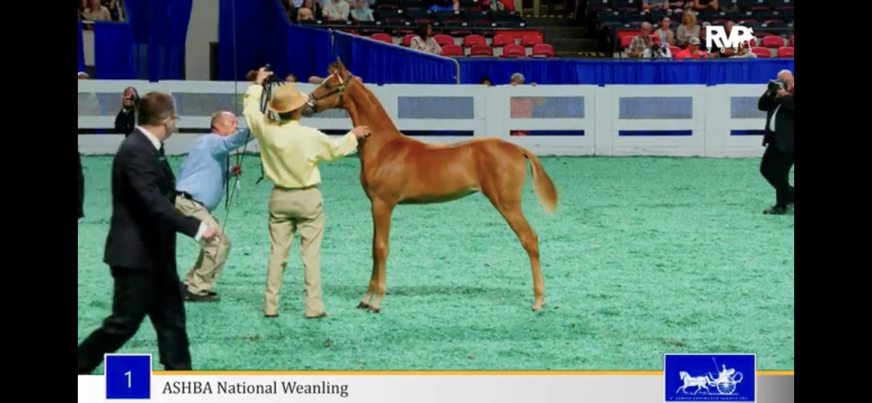 2023 World’s Championship Horse Show - First Saturday Evening