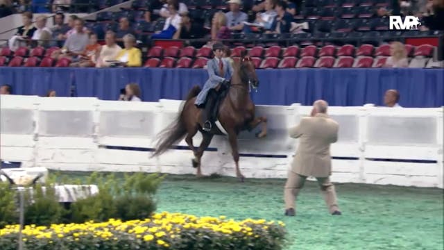 2012 WCHS - Class 36 Three Gaited Pon...