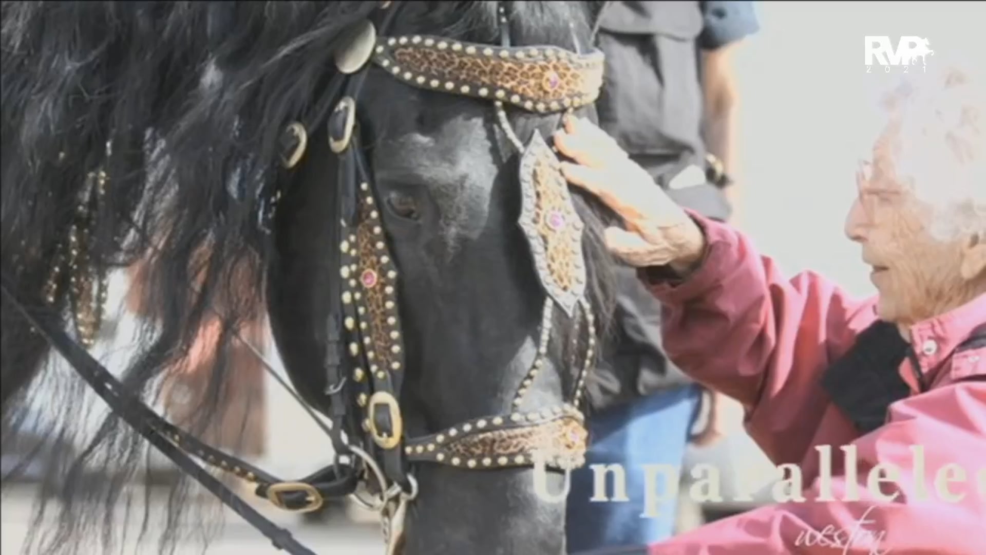 2021 Kentucky Spring Premier Horse Show - Friday Afternoon