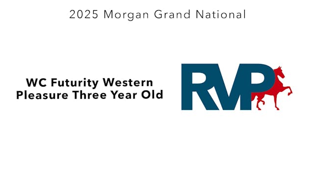 MGN25 - Class 78 - WC Futurity Wester...