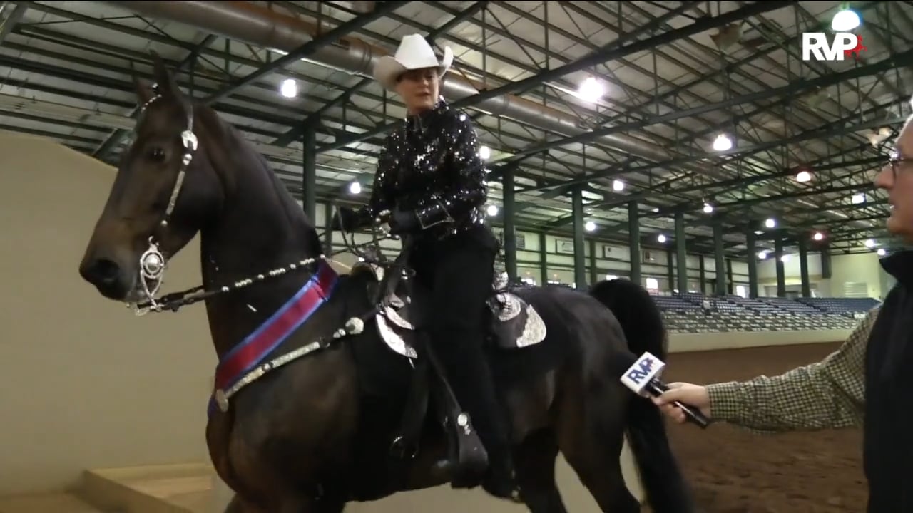 SSFF18 - Class 87 - Very Funny Championship