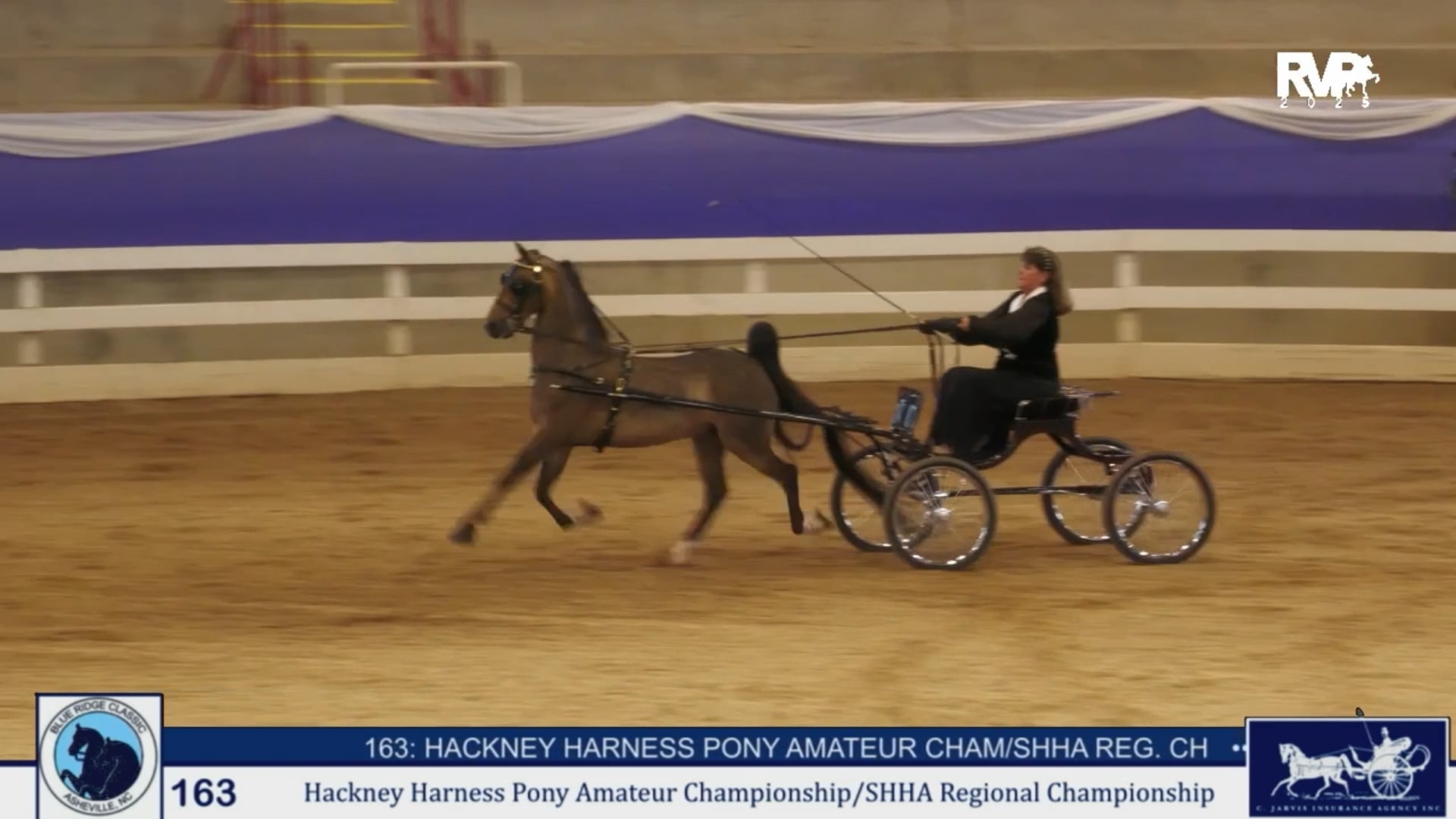 BRC25 - Class 163 - Hackney Harness Pony Amateur Championship & SHHA Regional  Championship