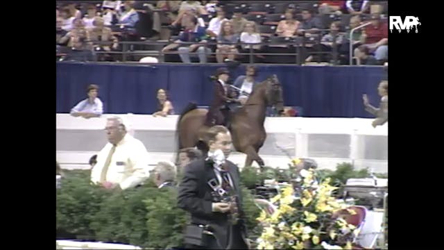 1998 WCHS - Class 181 Equitation Walk...