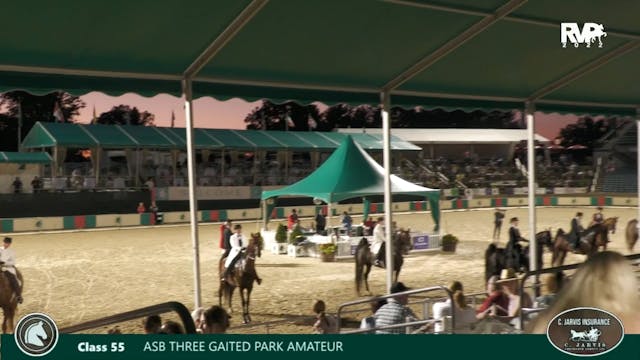 LJL22 - Class 55 - ASB Three Gaited P...