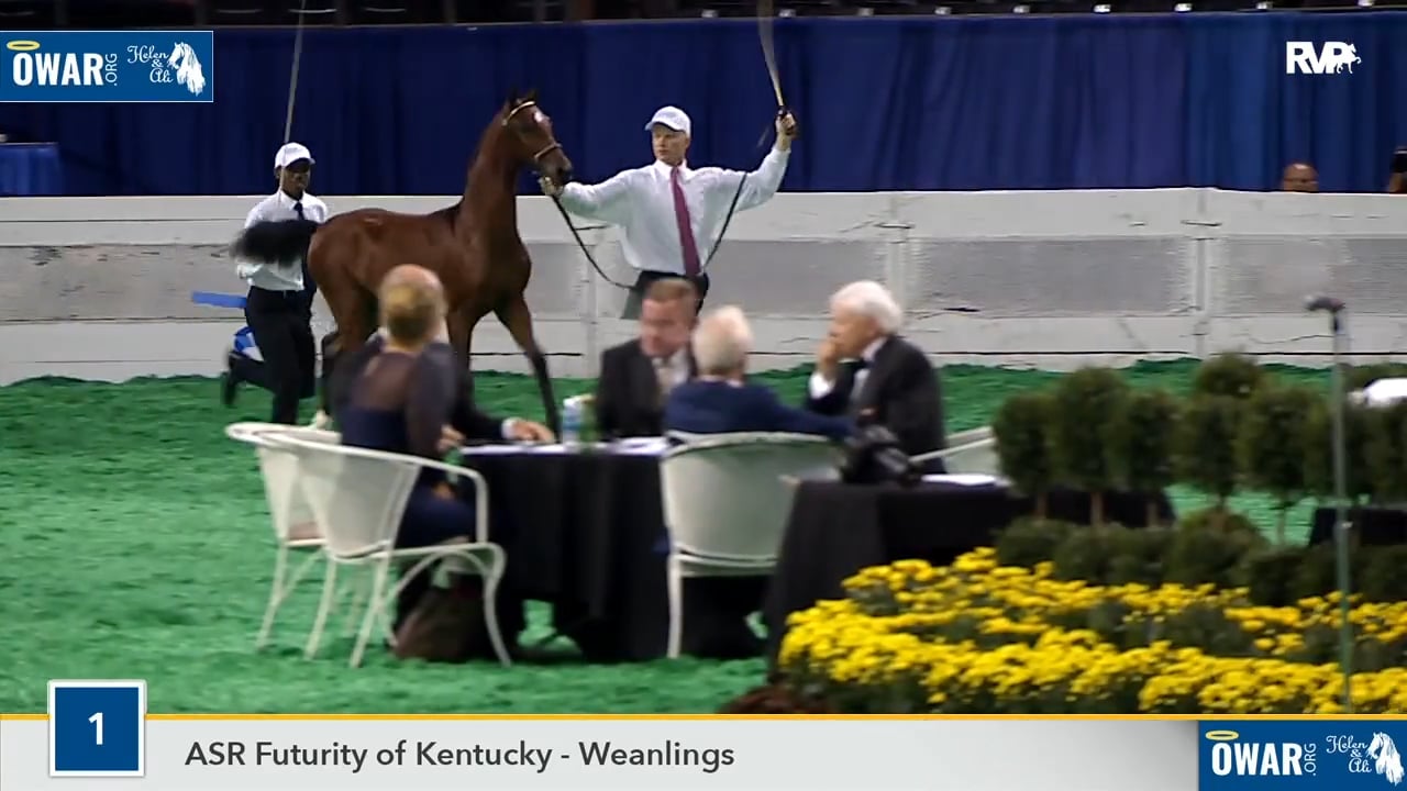 WCHS18 Class 1 - Walterway's First Responder